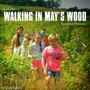 Walking In May’s Wood © Linda Lamon 2017